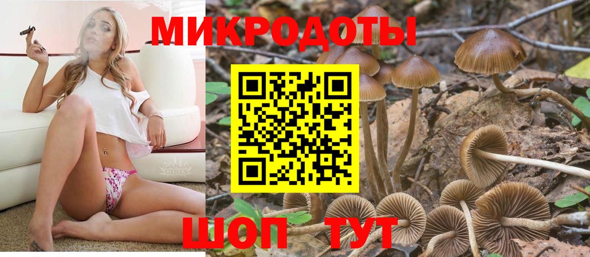 Псилоцибиновые грибы GOLDEN TEACHER  Псилоцибиновые грибы ЛСД  даркнет сайт  Иваново  Вход с VPN 